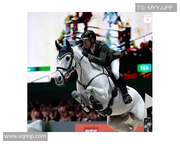 世界马术锦标赛展现人马和谐之美与优雅风采的完美结合